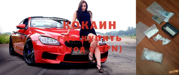 гашик Верея