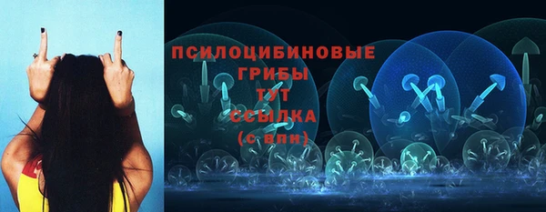 гашик Верея