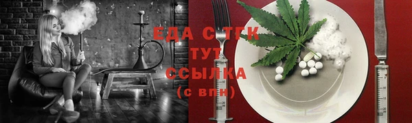 гашик Верея