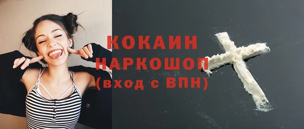 гашик Верея