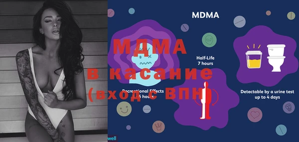 гашик Верея