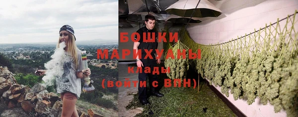 гашик Верея