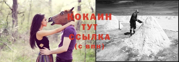 гашик Верея