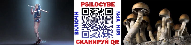 Псилоцибиновые грибы GOLDEN TEACHER Северобайкальск