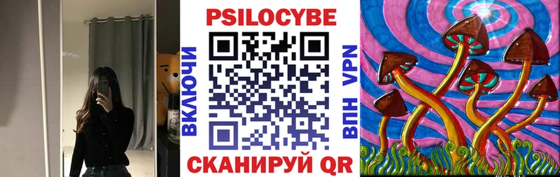 как найти закладки  Северобайкальск  Галлюциногенные грибы мицелий 